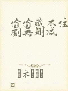 偷偷藏不住广播剧无删减