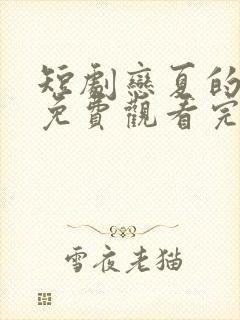 短剧恋夏的故事免费观看完整版