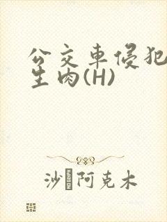 公交车侵犯小男生肉(H)