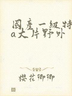 国产一级特黄aa大片野外