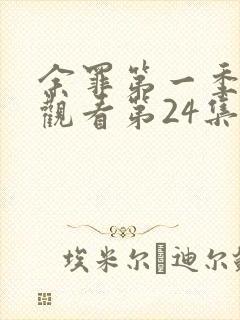 余罪第一季在线观看第24集封面