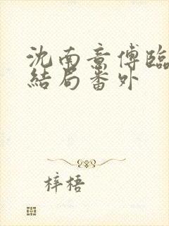 沈南意傅临洲大结局番外