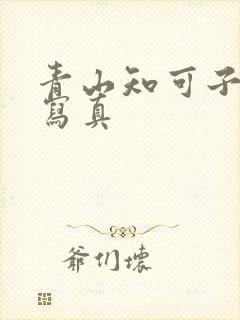 青山知可子裸体写真封面