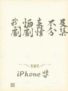 我怕来不及电视剧剧情分集介绍封面