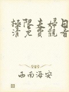 极限夫妇日剧高清免费观看