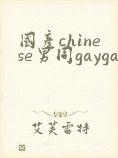 国产chinese男同gaygay网站