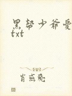 黑帮少爷爱上我txt
