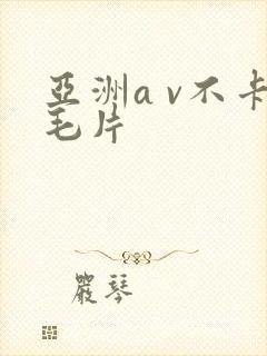 亚洲a v不卡毛片