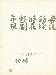 年轻时的母亲电视剧在线观看3集