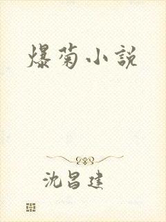 爆菊小说