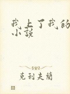 我上了我的小姨小说