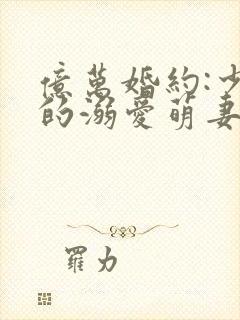 亿万婚约:少主的溺爱萌妻