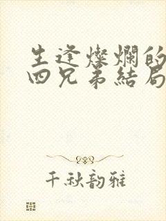 生逢灿烂的日子四兄弟结局封面