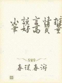 小说言情推荐文笔好高质量封面