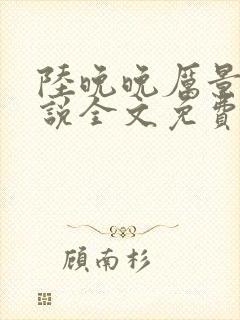 陆晚晚厉景琛小说全文免费