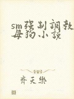 sm强制调教小母狗小说