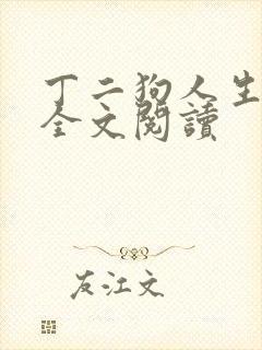 丁二狗人生小说全文阅读封面