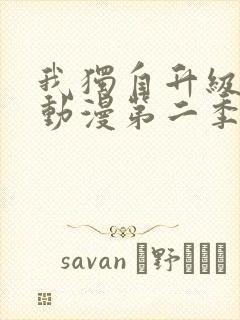 我独自升级樱花动漫第二季第10集