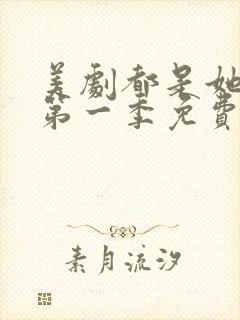 美剧都是她的错第一季免费观看