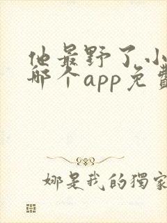 他最野了小说在哪个app免费阅读