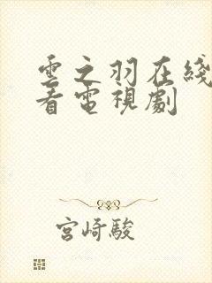 云之羽在线免费看电视剧