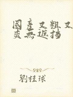 国产又粗又猛又爽无遮挡