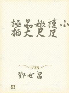 极品嫩模小洁私拍大尺度封面