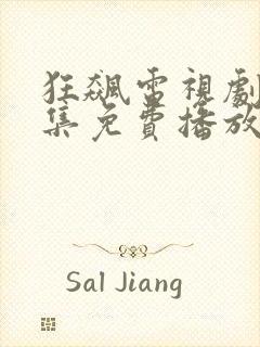 狂飙电视剧40集免费播放