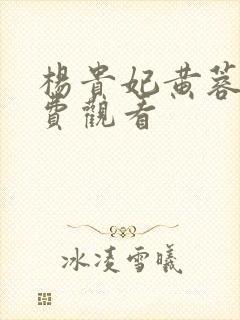 杨贵妃黄蓉版免费观看