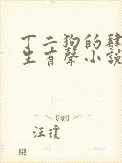 丁二狗的肆意人生有声小说