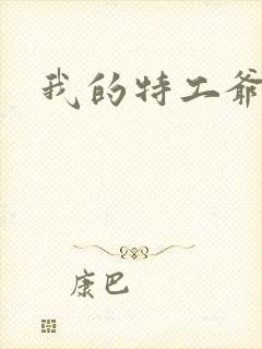我的特工爷爷.封面