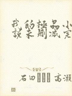 我的极品小姨小说未删减完整版