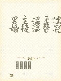 男主温柔儒雅的婚后温馨宠文