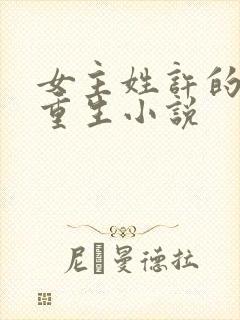 女主姓许的古代重生小说