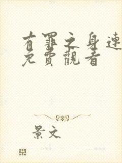 有罪之身连续剧免费观看