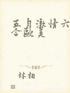 五月激情六月综合欧美