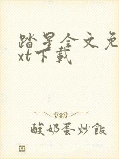 踏星全文免费txt下载