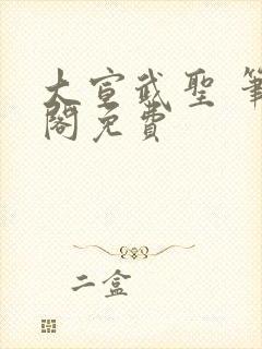 大宣武圣 笔趣阁免费