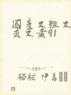 国产又粗又猛又爽又黄91