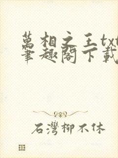 万相之王txt笔趣阁下载