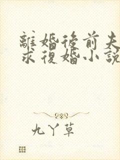 离婚后前夫哭着求复婚小说免费讲述