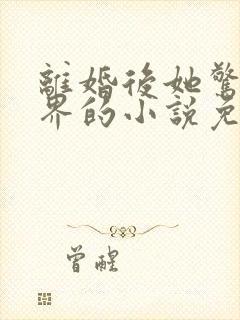 离婚后她惊艳世界的小说免费阅读