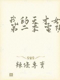 我的天才女友 第二季 电视剧