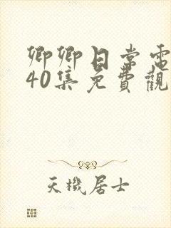 卿卿日常电视剧40集免费观看