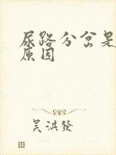 尿路分岔是什么原因