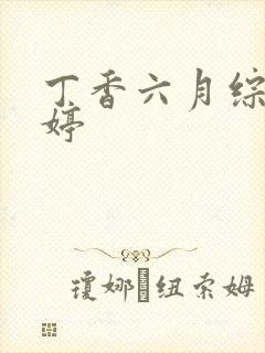 丁香六月综合婷婷