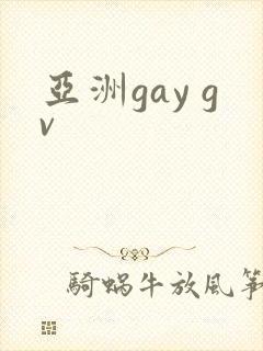亚洲gay gv封面