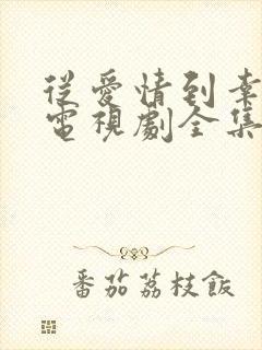 从爱情到幸福1电视剧全集免费观看