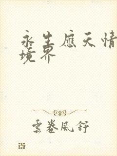 永生应天情什么境界封面