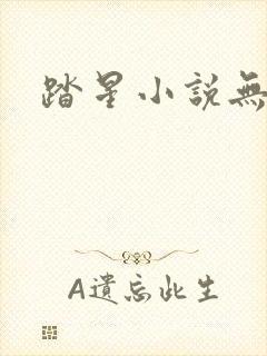 踏星小说无弹窗